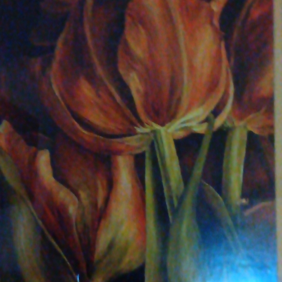 Meet your Posher, Lilli - Picture 1 of 1